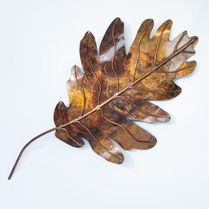 Copper Oak Leaf
