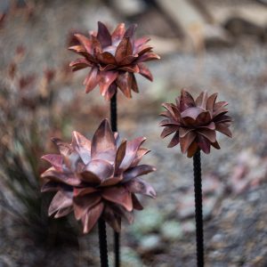 Garden Lotus, Natural Copper, Small